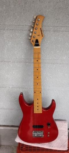 SYNSONICS エレキギター SYNSONICSエレキギターのカスタム その③ | 蜂坊主のブログ