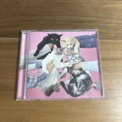 きのこ帝国『猫とアレルギー』『愛のゆくえ』『タイム・ラプス