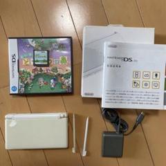 ニンテンドーDS 本体　どうぶつの森　セット Nintendo Switch Lite あつまれ どうぶつの森セット ～しずえ