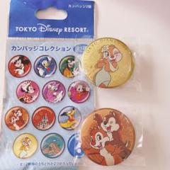 【即購入可】 ディズニー クラリス 缶バッジ 30個セット 新品 ディズニーストア クラリス 缶バッジ 缶バッチの通販 by