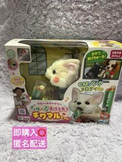 ちゅーるあげるね！チワマルちゃん おやつ反応ぬいぐるみ - メルカリ
