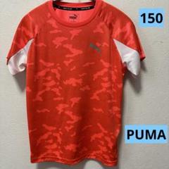 PUMA オレンジ　カモフラージュ Tシャツ 150