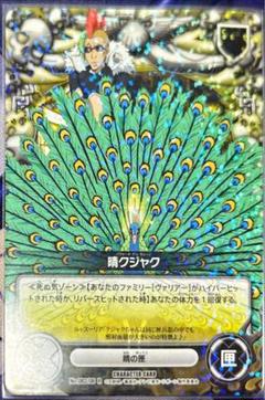 晴クジャク B08 ルッスーリア