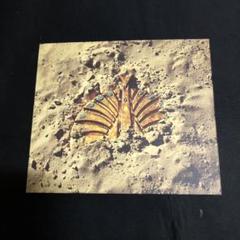 東京事変 大発見 アナログ盤レコード LP 大発見【アナログ】 | 東京事変 | UNIVERSAL MUSIC STORE