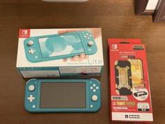 Switch Lite プロテクター付き　美品