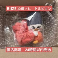 2025年最新】トルビョン シュシュの人気アイテム - メルカリ