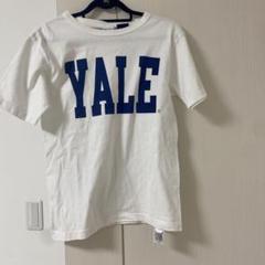 Yaleロゴ Tシャツ Champion ホワイト