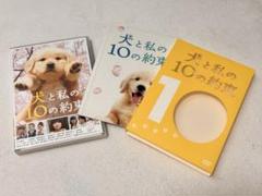 犬と私の10の約束 DVD 2枚組