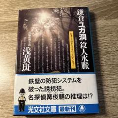 鎌倉・ユガ洞殺人水脈 : 長編推理小説