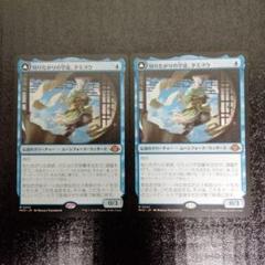 知りたがりの学徒、タミヨウ 拡張2枚セットfoi紋章付 242)《知りたがりの学徒、タミヨウ/Tamiyo, Inquisitive Student