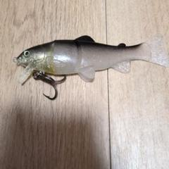 キャスティークトラウトvintage castaic orignal trout キャスティークトラウトvintage castaic orignal trout