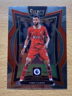 【ベース】ガクポ　リヴァプール　panini select