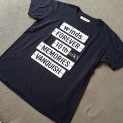 VANQUISH w-inds. Tシャツ　黒　L コラボ