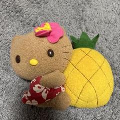 日焼けキティ　ぬいぐるみ　パイナップル　ハイビスカス