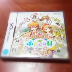 ＤＳソフト 牧場物語 ふたごの村