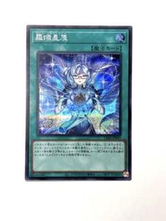 ドラゴンテイルセット 2025年最新】ドラゴンテールの人気アイテム - メルカリ