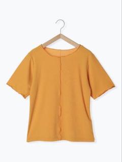 ラメボーダーカットソー 半袖 オレンジ トップス ehka sopo