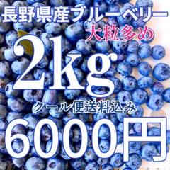 長野県産ブルーベリー 2kg 大粒多め 長野県産ブルーベリー 2kg 大粒多め - メルカリ