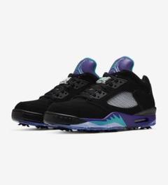 新品未使用 28.5 NIKE AIR JORDAN 5 GOLF