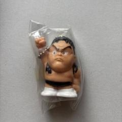 蝶野正洋、長州力、小橋建太、小川良成フィギュア 蝶野正洋、長州力、小橋建太、小川良成フィギュア
