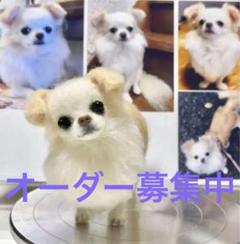 羊毛フェルト　全身像　オーダー　募集中❣️犬