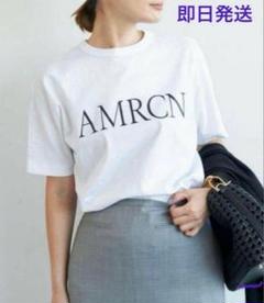 2025年最新】 アメリカーナ americana tシャツの人気アイテム