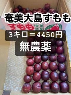 m37149105178_1.jpg?1717515675
