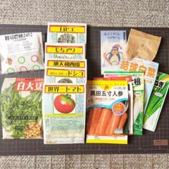 野菜の種まとめ売り