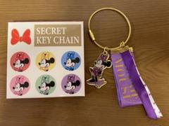 ディズニー　シークレットキーチェーン