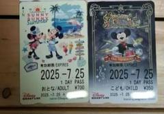 【使用済】2016年度 ディズニーリゾートライン 切符 パス リゾラ 公式】フリーきっぷコレクション | 東京ディズニーリゾート