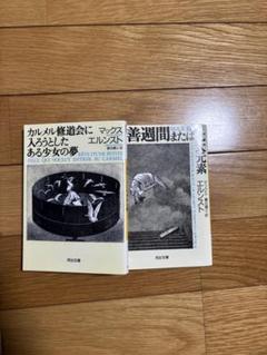 マックス エルンスト、穀物の芽のある風景、希少画集画、新品額装付 マックス エルンスト、穀物の芽のある風景、希少画集画、新品額装付