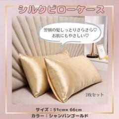 シルクピローケース 2枚セット シャンパンゴールド