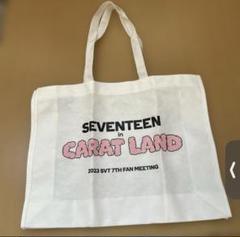 2025年最新】seventeen バックの人気アイテム - メルカリ