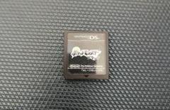 ポケットモンスター　ブラック　ニンテンドーDS