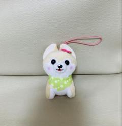 年末セール！新品☆豆しば三兄弟☆春うららウルトラBIGぬいぐるみ(★全3種) 2025年最新】豆しば三兄弟 春うららの人気アイテム - メルカリ