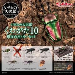 いきもの大図鑑　くわがた10　オンライン版　6種セット