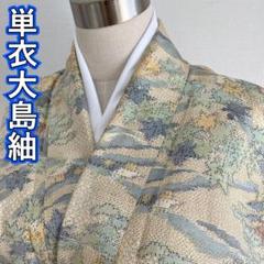 KN2662 単衣 大島紬 身丈161.5cm 正絹 単衣着物 紬