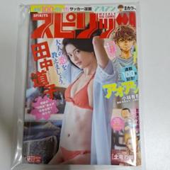 【希少】ビッグコミックスピリッツ 2017年 田中道子