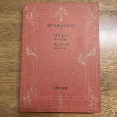 キリスト文学教の世界11 ワイルド　スパーク