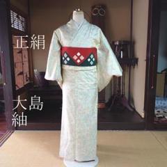 226 正絹 大島紬 美品【リユース着物】#Letter bee