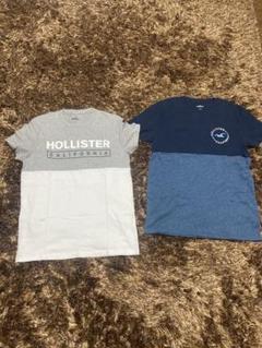 ホリスター Tシャツ