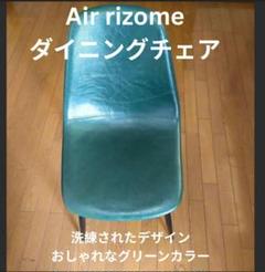 【Air Rhizome】エア・リゾーム ダイニングチェア グリーン
