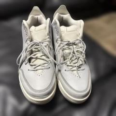 Air Jordan 3 グレー 9.5 US