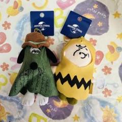 USJ ユニバ ぬいぐるみ チャーリーブラウン サリーブラウン　2体セット USJ ユニバ スヌーピー お目にかかっ チャーリーブラウン ぬいぐるみ