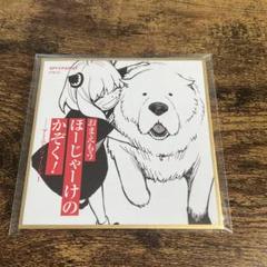 SPY✖️FAMILY ミニ色紙