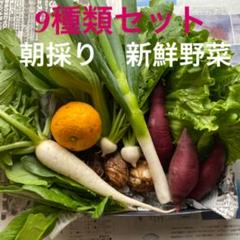 野菜セット お野菜詰め合わせ 9種セット