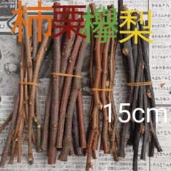 小動物かじり木 柿 梨 欅 栗の木40本!