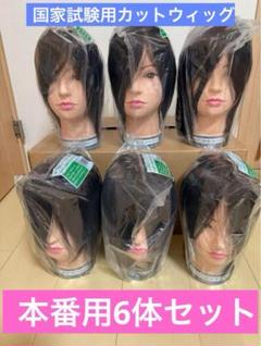 ビューラックス 美容師実技試験用 カットウィッグ 未使用10体 新品未開封 美容師実技試験用 ビューラックス ウィッグ5頭 02-20-19