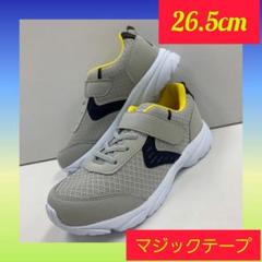 grounds マジックテープスニーカー グレー/ネイビー 楽天市場】【10日限定☆P8倍】 スニーカー メンズ 靴 ネイビー
