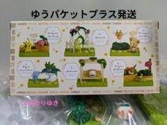 リーメント　ポケモンガーデン　木漏れ日の午後　コンプリート　大人買い♡